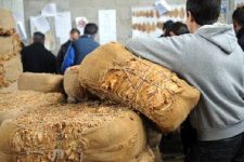 Тутунот се продаде по речиси 420 денари за килограм