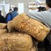 Николовски очекува 400 денари за килограм првокласен тутунот, тутунарите бараат 600 денари