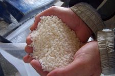 Производителите на ориз го блокираа патот Штип – Кочани