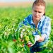 Македонија ги прави првите чекори за ниско јаглеродно земјоделство