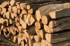 „Национални шуми“ се откажа од исплатата на К-15 во огревно дрво