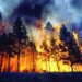 40 милиони евра штета од ланските пожари во Македонија