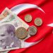 Инвеститорите очекуваат нов пад на вредноста на турската лира!