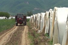 Струмичка фирма земала земјоделско земјиште, не го обработувала, го давала на трети лица, а притоа земала субвенции над 20 милиони денари