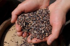 Нова агрокриза: Цените на ѓубривата во вртоглав раст