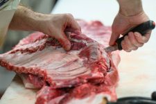 РЦФ со 500 илјади евра грант поддржува проект за паметна обука во преработката на производи од млеко и месо