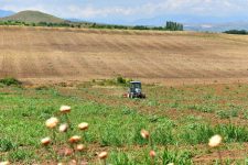 Земјоделството изумира во Македонија