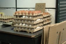 Јајцата поевтинуваат: Маркетите ги враќаат старите цени по ноемврискиот скок