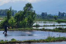 Експертска работилница за креирање зелени работни места