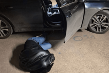 Уапсен директорот на Државниот инспекторат за земјоделство