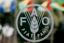 ОН: Кризата во Ормускиот мореуз може да предизвика глобална катастрофа во земјоделството