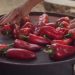 Ќумбето со ајвар на отворено е казниво со до 1.000 евра